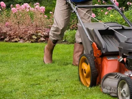 Affordable Yard Maintenance Near Me You Can Count On