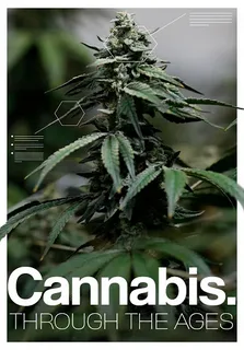 Best Movies to Watch High: Films for the Ultimate Cannabis Movie Night